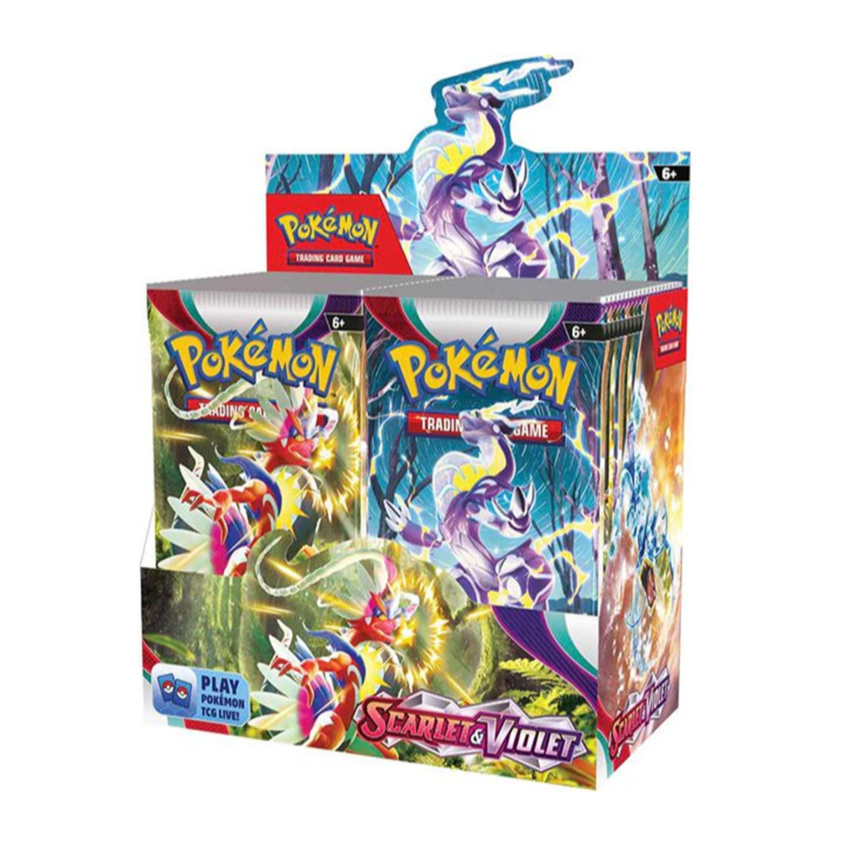 Pokemon Karmesin und Purpur Display